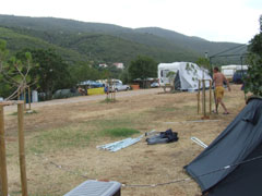 drzewa już rosną :)