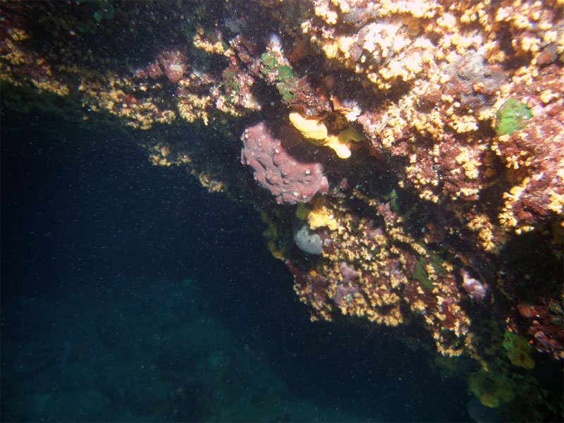 na wejściu do grotki