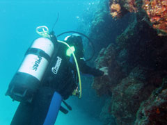 głębiej będzie bardziej kolorowo :)